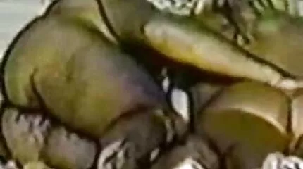 Cann Al Ale gratis porno kijk dà