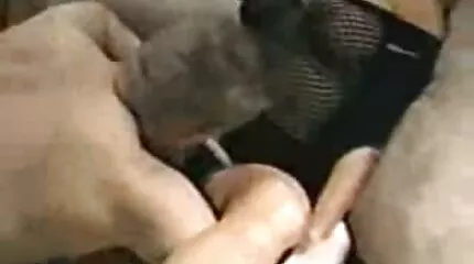 Laat de fallus in de kont vallen. pornofilm kijken