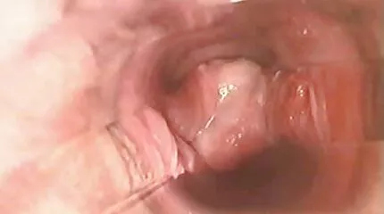Bril gratis sex films kijken vriendinnen geneukt in vagina.