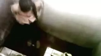Oostenrijkse fucks gymnast. gratis porno kijk